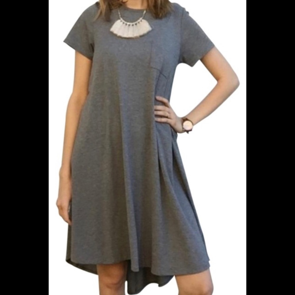 NWT✨LuLaRoe Gray Carly Dress